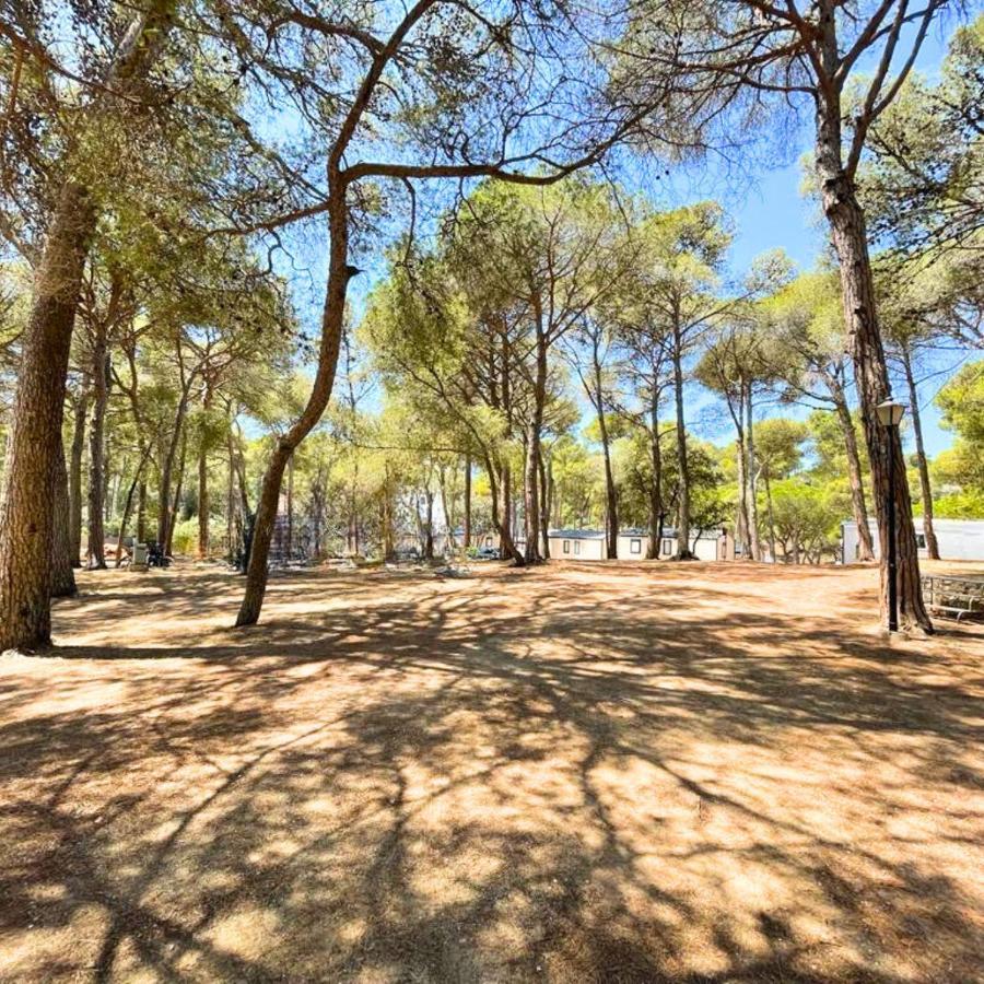 Camping Interpals Eco 4*