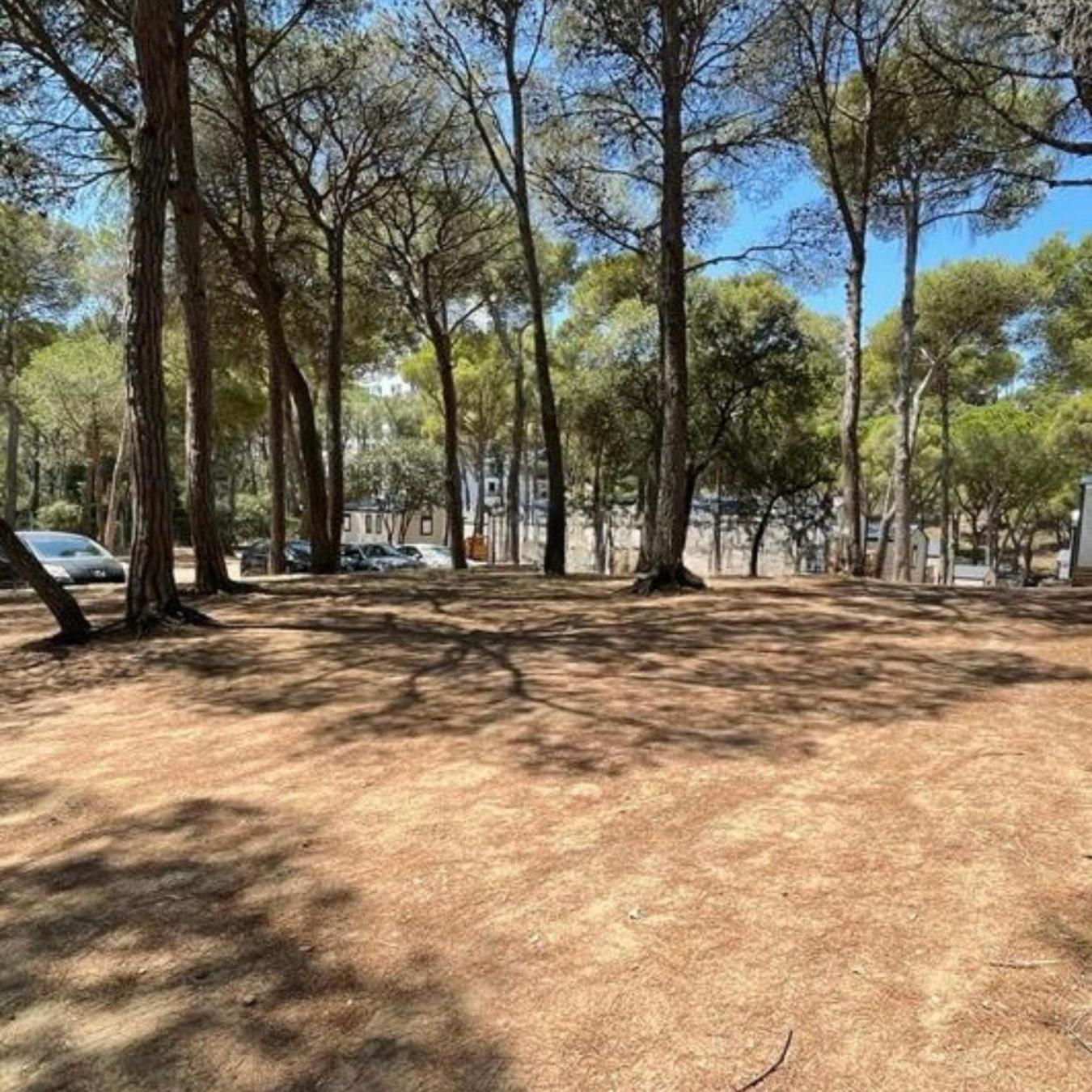 Camping Interpals Eco